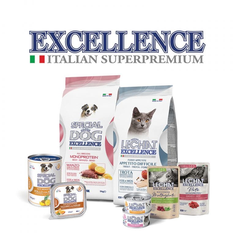 اگزلنس - Excellence
