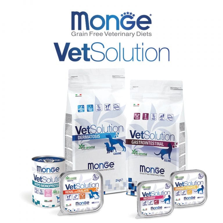 مونژه وت سلوشن – Monge VetSolution